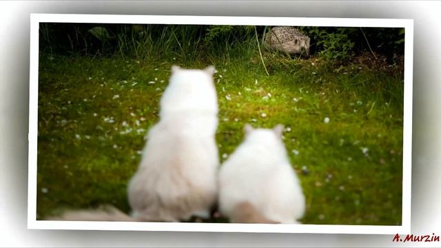 Alexander Karshkov - Remember (piano) смотреть онлайн