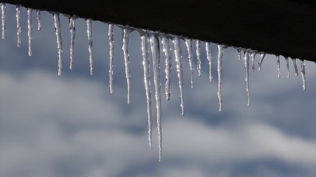 Встреча с поэтом