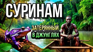СУРИНАМ- Страна Джунглей! Что нашли учёные в лесах Амазонии?