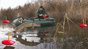 ЩУКА НА КРЮЧКЕ! РЫБАЛКА С СОБАКОЙ НА ЛОДКЕ.
