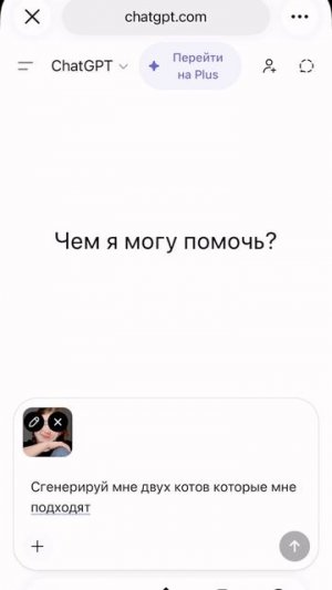 Ни один кот при съемки не пострадал 😁 #марикалапунова #кот #котик #котики #рек