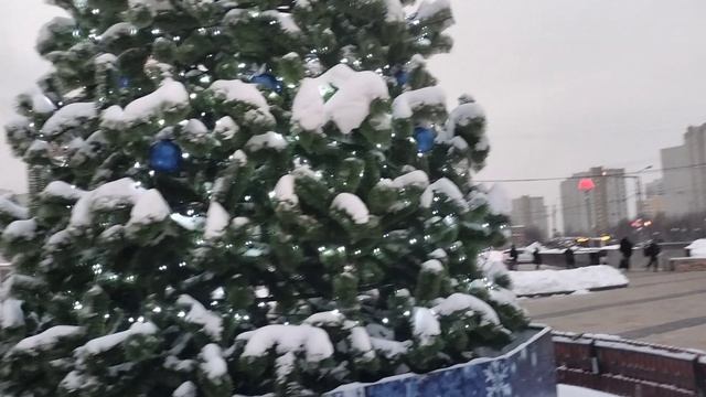 Скоро ёлки уберут,пока любуемся.🌲🥳 смотреть онлайн