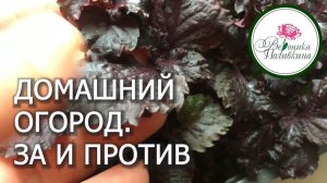 ЗИМНИЙ ОГОРОД. ЗА И ПРОТИВ