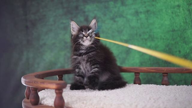 X-man 2 месяца смотреть онлайн