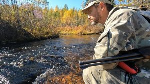 ЧЕТЫРЕ СЕНТЯБРЬСКИХ ДНЯ В ТАЙГЕ: СОБОЛЬ, БЕЛКИ, КОСУЛИ, РЯБЧИКИ. ТАЁЖНЫЙ БЫТ. #ИДИЛЕСОМ 21.10.24
