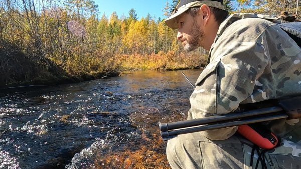 ЧЕТЫРЕ СЕНТЯБРЬСКИХ ДНЯ В ТАЙГЕ: СОБОЛЬ, БЕЛКИ, КОСУЛИ, РЯБЧИКИ. ТАЁЖНЫЙ БЫТ. #ИДИЛЕСОМ 21.10.24