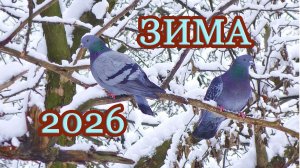 Зима 2026