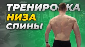 ТРЕНИРОВКА ПОЯСНИЦЫ В ДОМАШНИХ УСЛОВИЯХ!