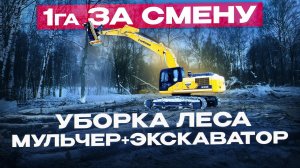 ЛЕСНОЙ МУЛЬЧЕР ДЛЯ БОЛЬШИХ ДЕРЕВЬЕВ // Лучшее решение для строителей