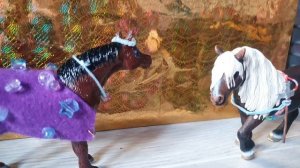 шляйх клип " колдунья "