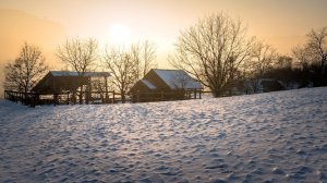 Сельские будни. Пеку пирог