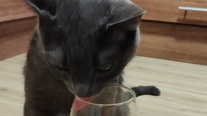 Спустя 5 месяцев я вернулась на Рутуб❤️Что произошло за это время?!Мне многое нужно вам рассказать💕