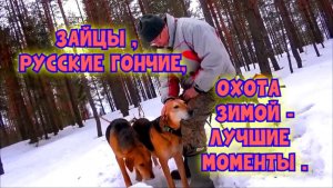 ЗАЙЦЫ ,РУССКИЕ ГОНЧИЕ,  ОХОТА ЗИМОЙ - ЛУЧШИЕ МОМЕНТЫ .#охотасгончей#собака #животные #топ #hunting