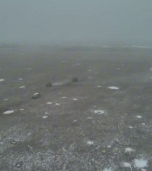 Год войны 7-й бригады.