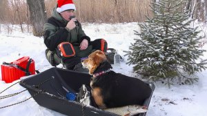 ЗИМА, РЫБАЛКА С СОБАКОЙ- ЖЕРЛИЦЫ И КОСТЁР В ЯНВАРЕ.