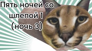 5 ночей со Шлёпой ночь 3