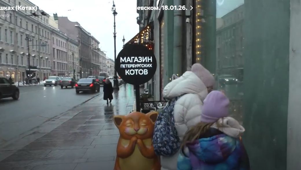 О Кошках (Котах)  Санкт-Петербурга. Магазин на Невском. 18.01.26.