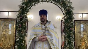 Проповедь в Крещенский сочельник .(18.01.2026).Протоиерей Димитрий Нестеренко.