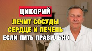 Цикорий для пожилых: когда он бесполезен и даже вреден | Врачи советуют
