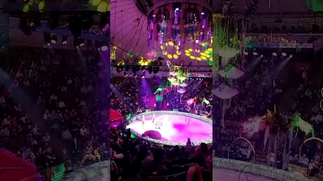 Песчаная сказка: шоу бегемотов смотреть онлайн