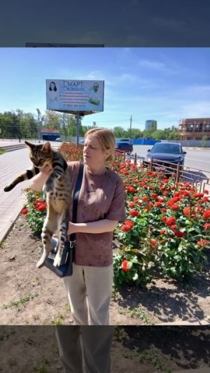 ВСЕ СВОЕ НОШУ С СОБОЙ