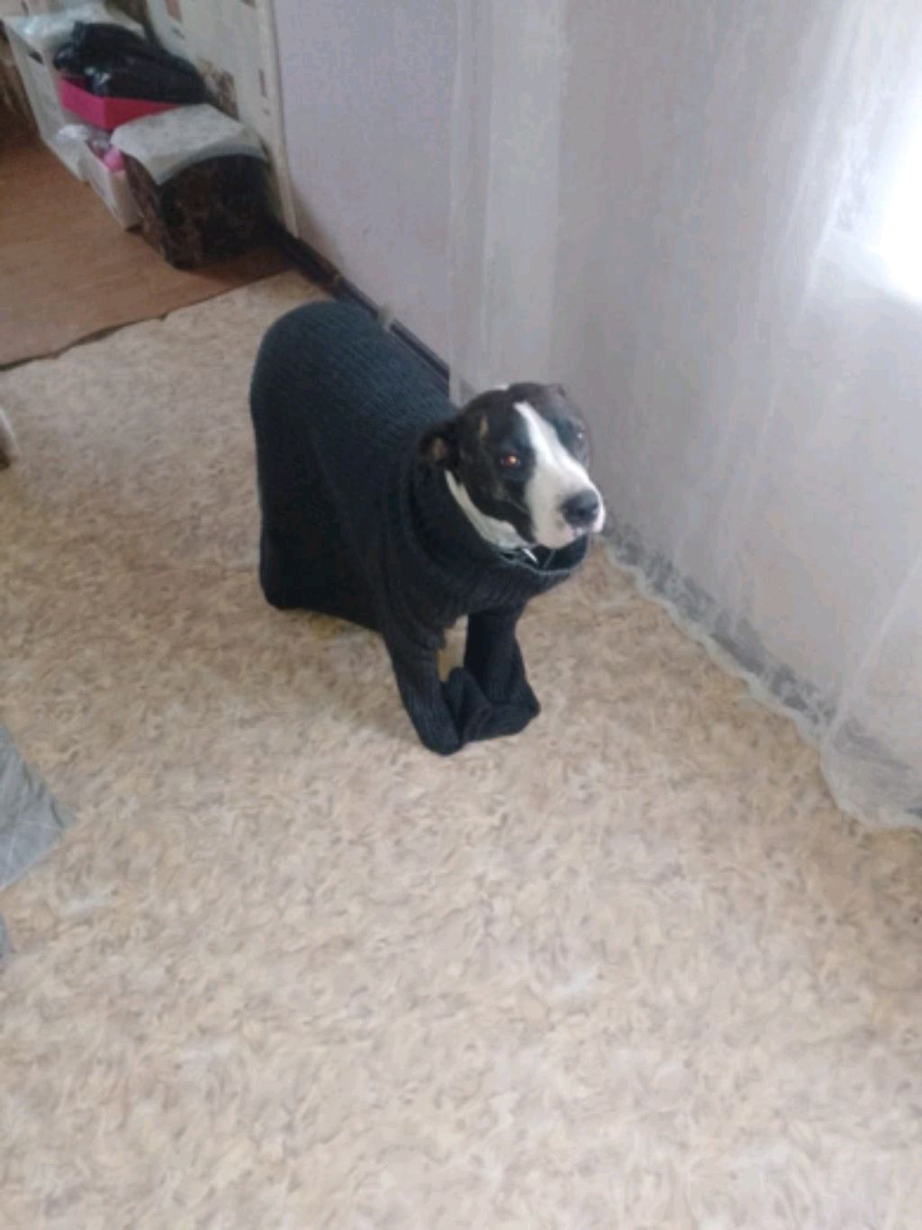 просто стрим смотреть онлайн