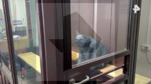 Арестован протаранивший машину ДПС в Балашихе водитель Porsche