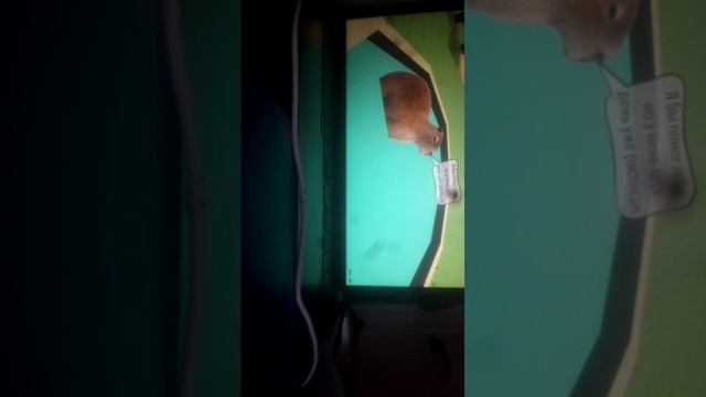 стрим2 смотреть онлайн