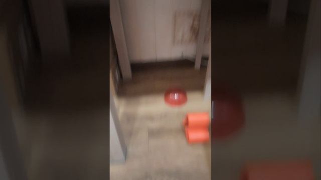 1000018633.mp4 смотреть онлайн