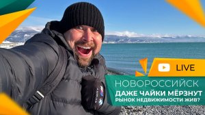 Аномальная ЗИМА в НОВОРОССИЙСКЕ! Мороз и ГОЛОЛЁД. Как выживают ЮЖАНЕ на побережье?