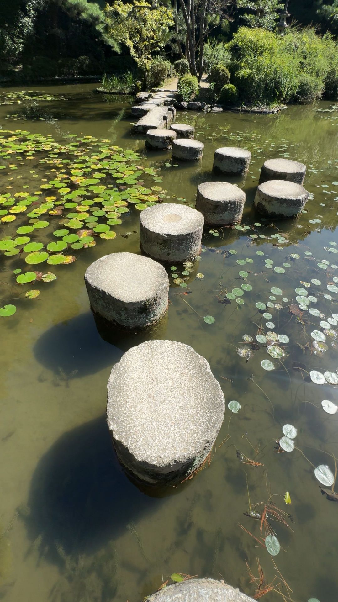 И ещё немного красивого и спокойного парка в городе Нара. Япония #не_о_работе смотреть онлайн