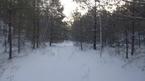 Бродилки от Бродислава 299