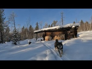 ТАЁЖНАЯ САГА (ч. 2): ЕЩЁ 5 МЕСЯЦЕВ ОХОТЫ В ЛЕСАХ СИБИРИ #идилесом 20.03.25