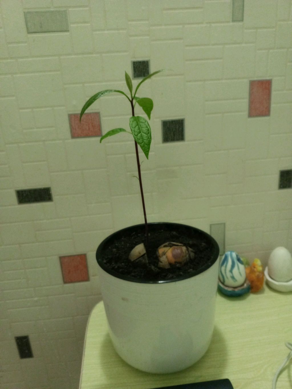 при5 смотреть онлайн