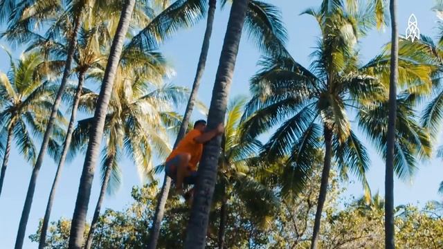 "Telling Warrior Stories with Hula" смотреть онлайн