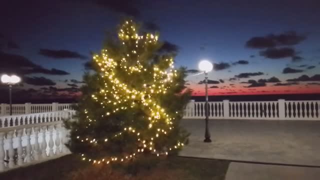 Новый год со вкусом лета АНАПА прогулка 2026.01.01 ✅📌 📍 физкульт привет!