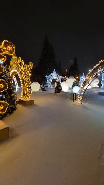 Новосибирская ёлка 2026 .