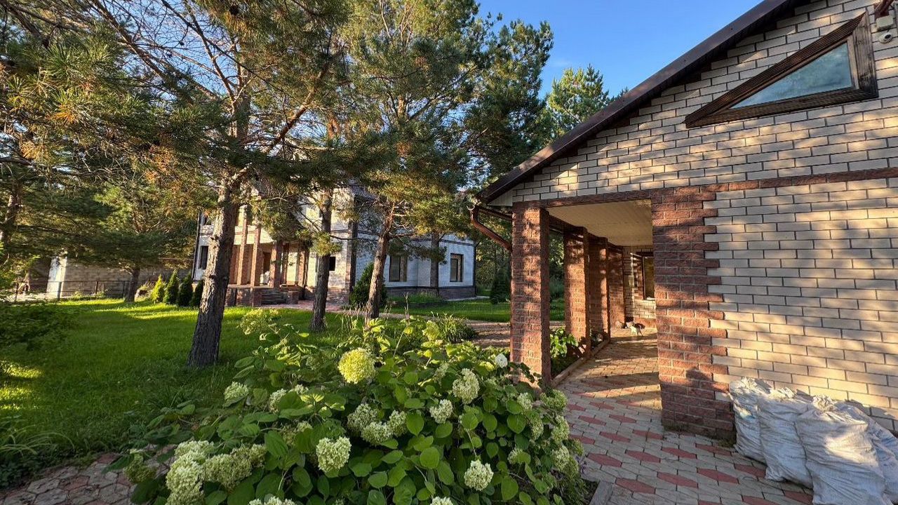 Дом в сосновом лесу смотреть онлайн