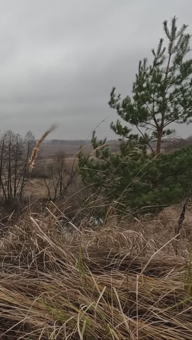 С. Есенин, А. Клюквин, №5