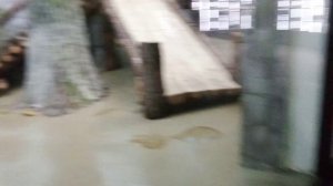 Интересный павильон московского зоопарка " ФАУНА КИТАЯ ". Очень интересный видос про животных.