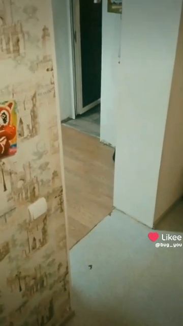 1000023930.mp4 смотреть онлайн