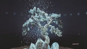 Сектор Газа -Туман (клип)