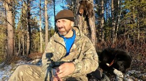 ОХОТА ПО ПУШНИНЕ С ЛАЙКОЙ И НА РЯБЧИКА С МАНКОМ. #идилесом 08.11.24