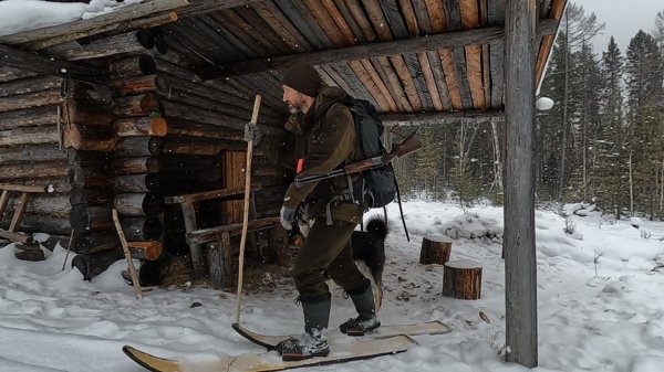 ПРЕДНОВОГОДНИЙ ВЫПУСК: ОТВЕТЫ НА САМЫЕ ЧАСТЫЕ ВОПРОСЫ #идилесом 30.12.24