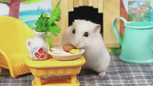 Вниз, вниз, продолжай спускаться!Когда же этот маленький хомячок кончится смотреть онлайн