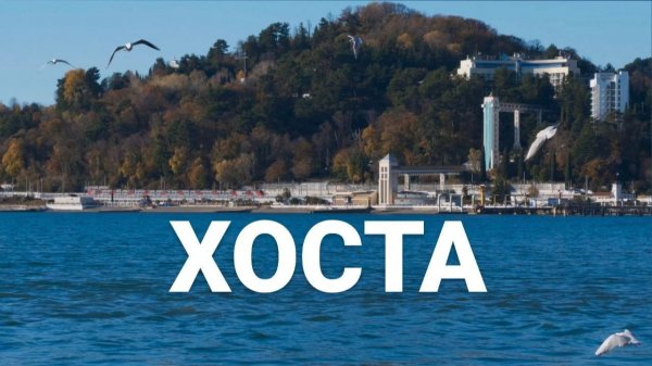 ХОСТА зелёный уголок СОЧИ зимой. Новый год 2026