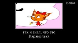 Муд про трёх котов Ржачный