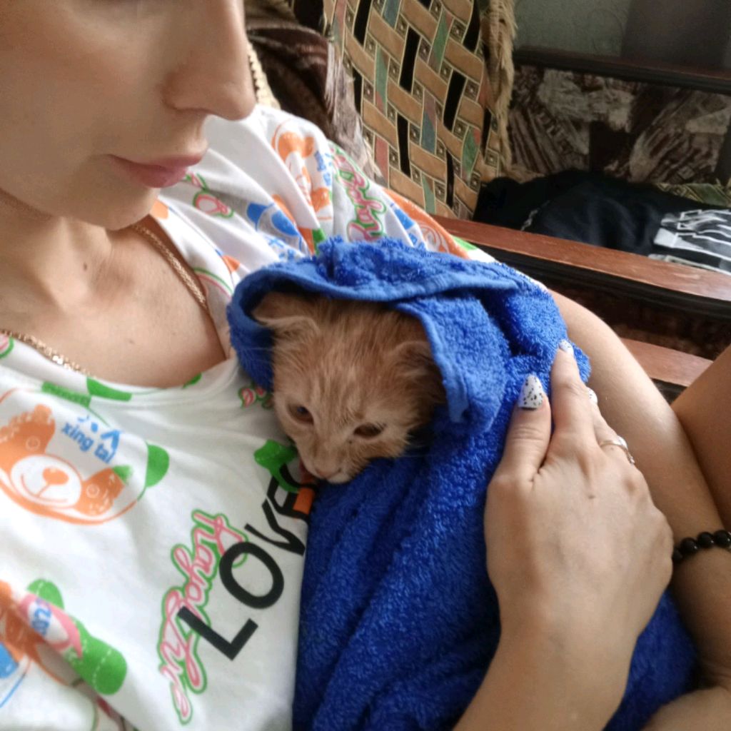 я дома смотреть онлайн