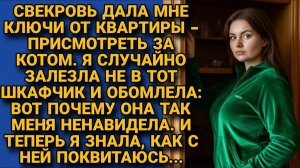 Истории из жизни|Зашла к свекрови|Аудио рассказы|Аудиокниги слушать онлайн|Жизненные истории