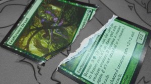 Тестируем способы проверки подлинности карт MTG | Рвем дриаду! | Magic: The Gathering